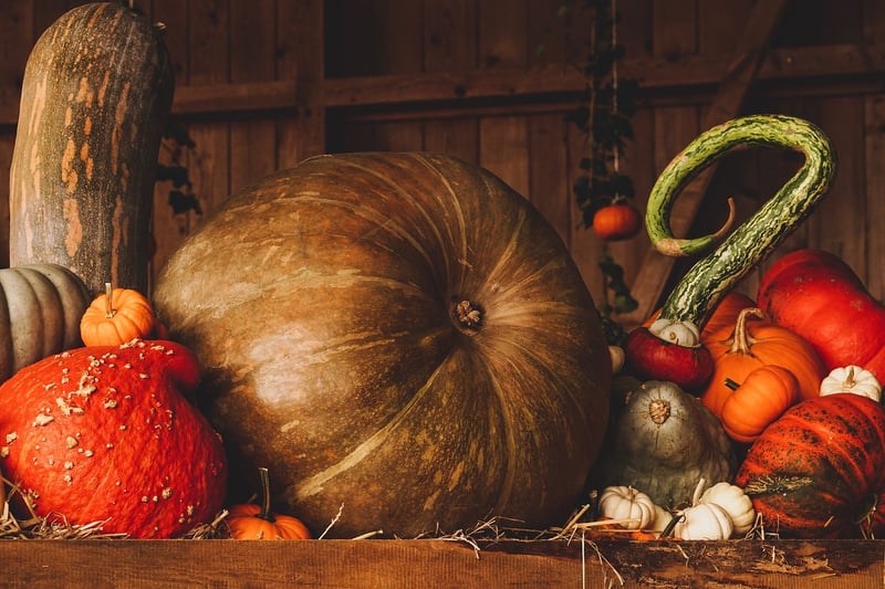 Fresh pumpkin